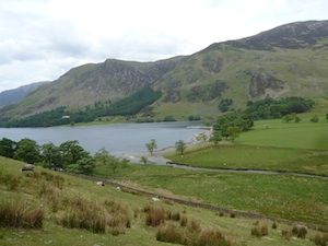 d0041074_14371212.jpg