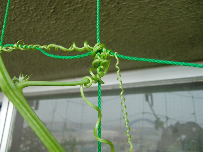 f0238779_7135058.jpg