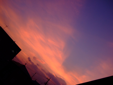 a0105480_02305.jpg