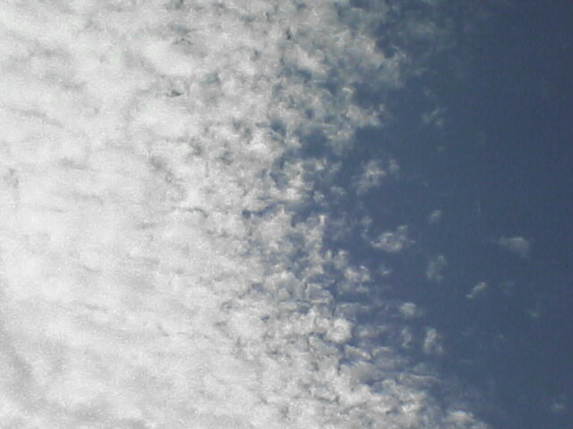 c0069380_12435215.jpg