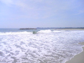 f0001781_1846013.jpg