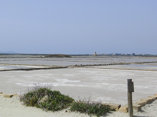 b0101284_22374569.jpg