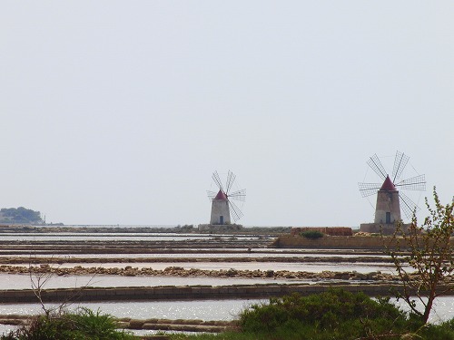 b0101284_22374999.jpg