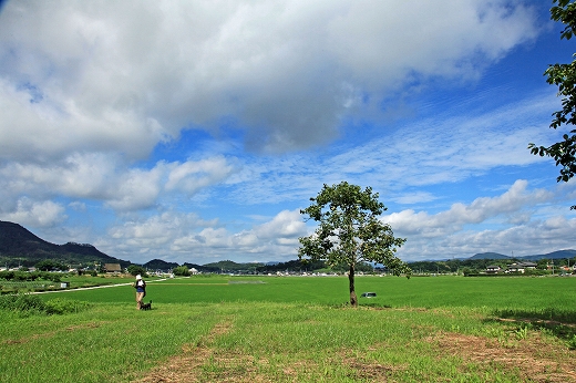 e0190885_21334650.jpg