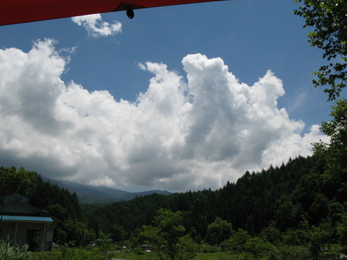 d0165689_23471967.jpg