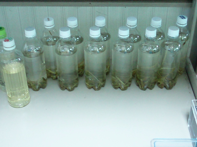 e0192991_215091.jpg