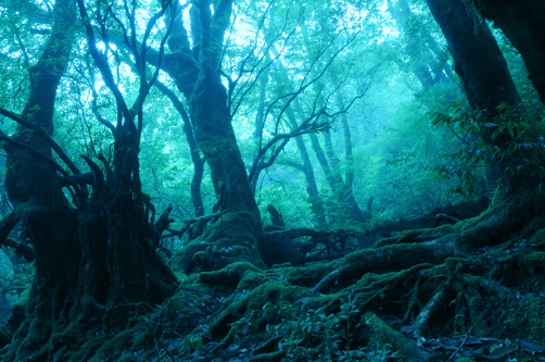 f0132391_1315873.jpg