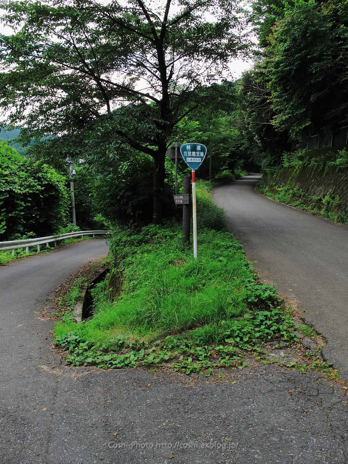 a0110096_23485067.jpg