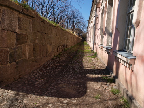 a0159697_22195429.jpg