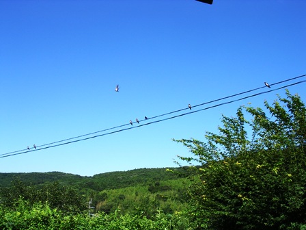 b0126098_2081610.jpg