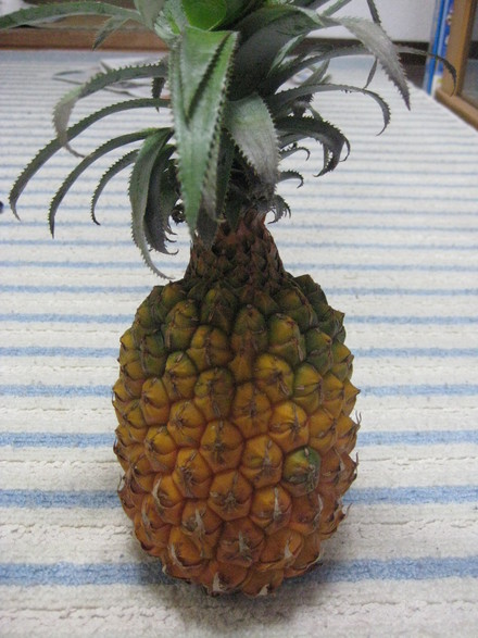 f0013998_2031282.jpg