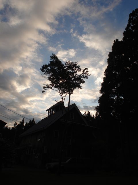 a0061599_5593792.jpg