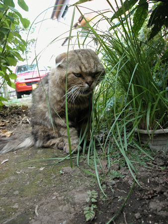 f0239100_934018.jpg