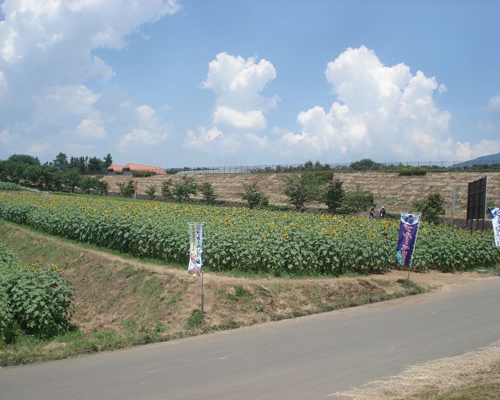 b0148106_2229366.jpg