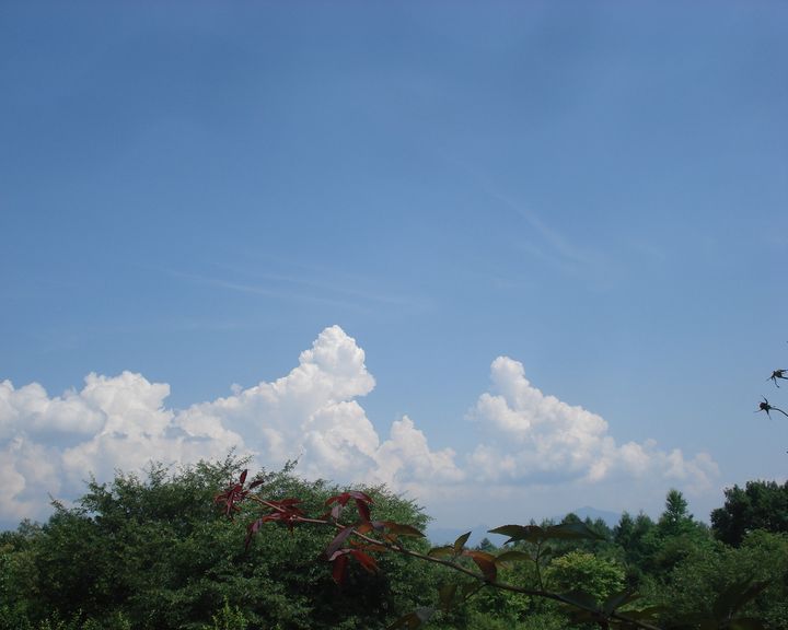 b0148106_2335227.jpg