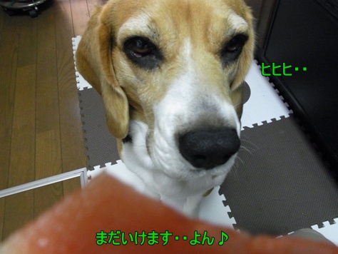 c0205806_17311556.jpg