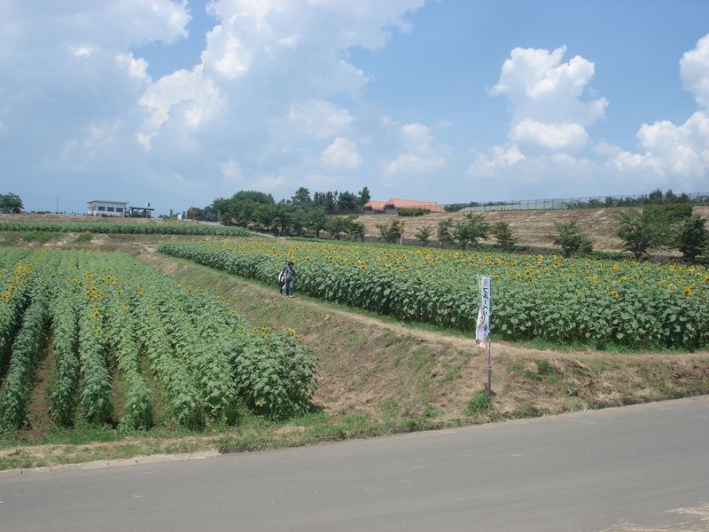 f0084806_8423621.jpg