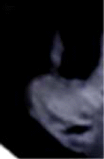e0103408_12523261.gif