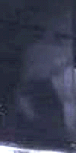 e0103408_13115027.gif