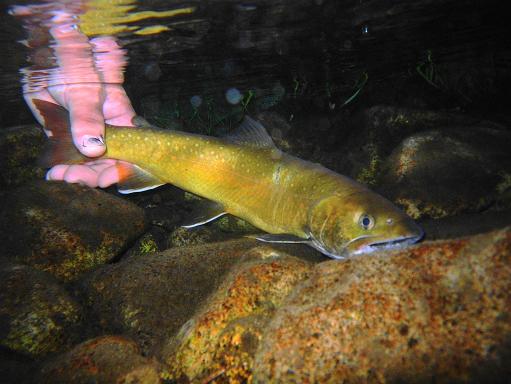 e0123808_0515070.jpg