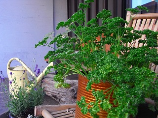 c0201910_21222366.jpg