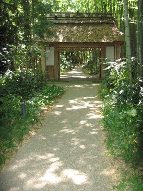 b0093515_7282939.jpg