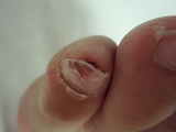 c0145016_835515.jpg