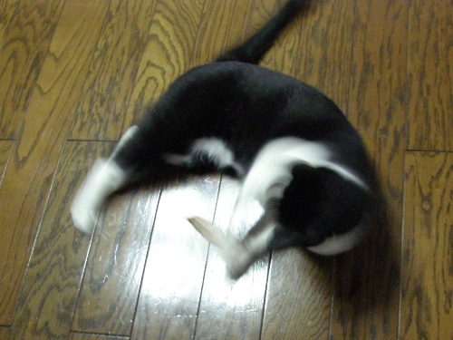 c0158916_19384487.jpg