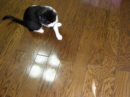 c0158916_1939628.jpg
