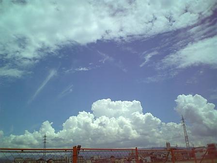 d0170119_2336233.jpg