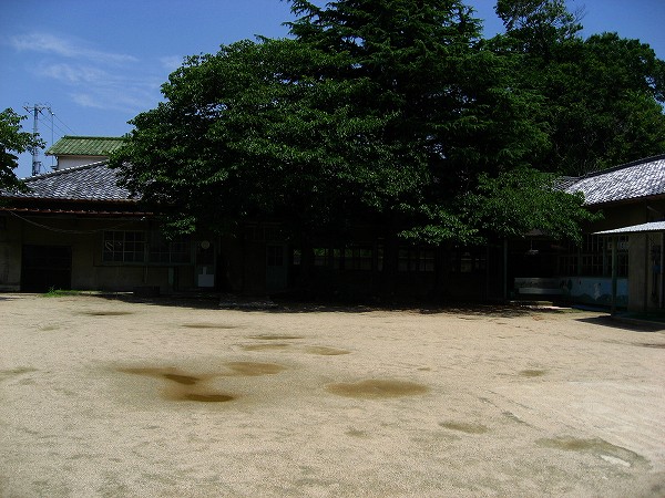 d0170119_23424411.jpg