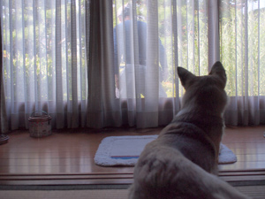 c0012120_22414040.jpg