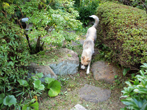 c0012120_2243110.jpg