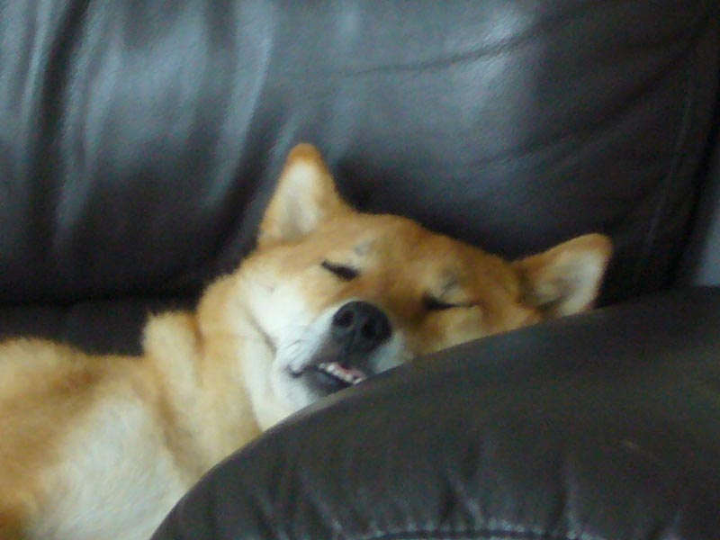 c0150520_22101454.jpg
