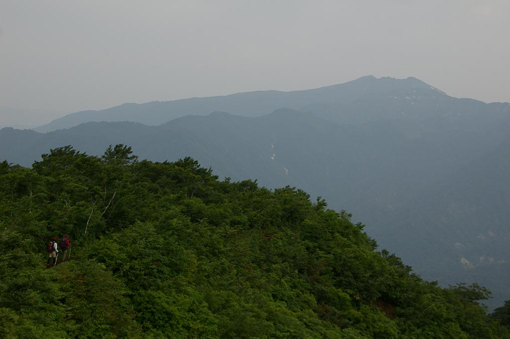 b0062024_7335395.jpg