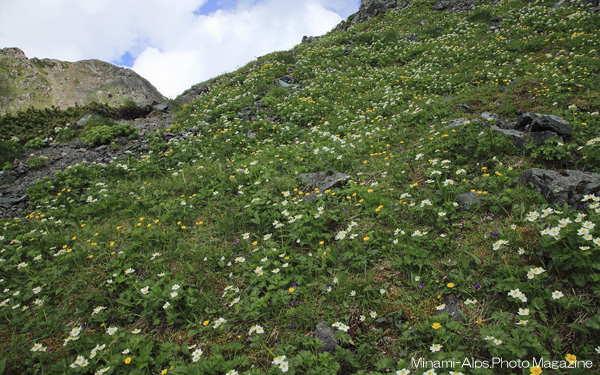 f0081726_2128477.jpg