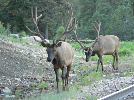 f0238932_6113973.jpg