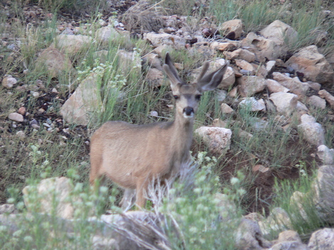 f0238932_7354862.jpg