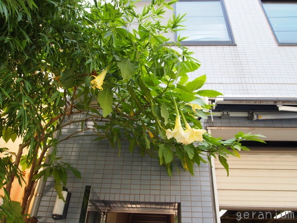 c0133533_22551312.jpg