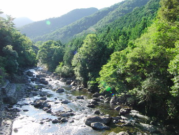 c0183137_10224990.jpg