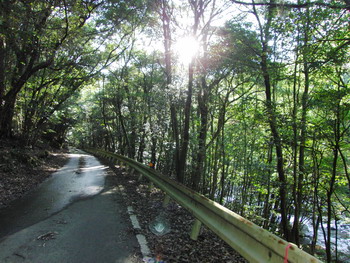 c0183137_1024411.jpg