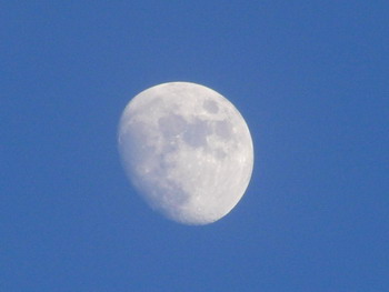 c0183137_10384272.jpg