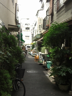 f0009451_5572016.jpg