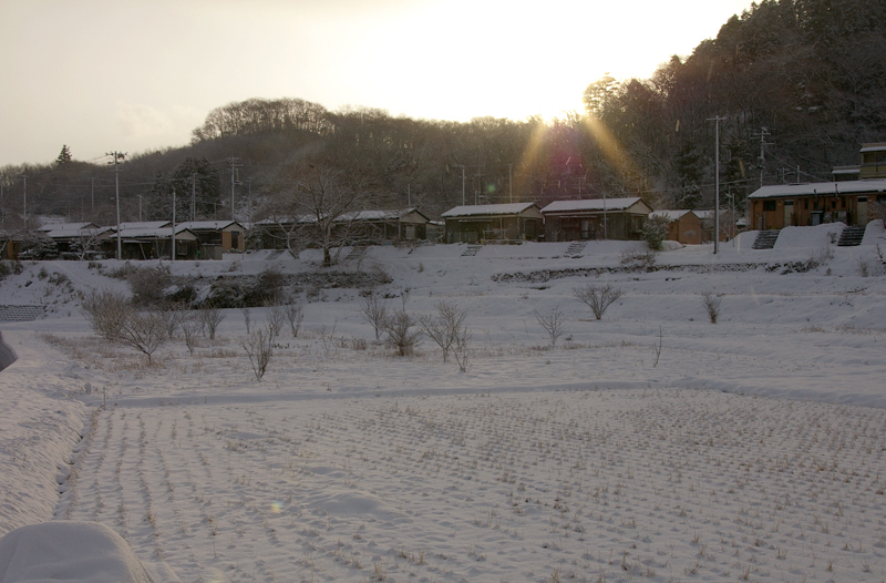 e0100152_1204264.jpg