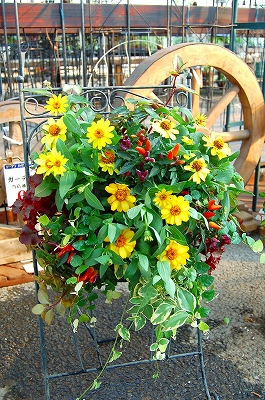 e0025655_532145.jpg