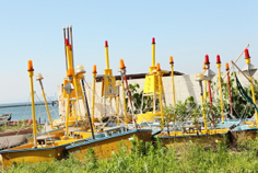 e0175258_1744979.jpg