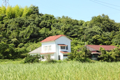 e0175258_1751863.jpg