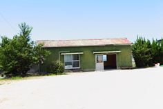 e0175258_1753014.jpg