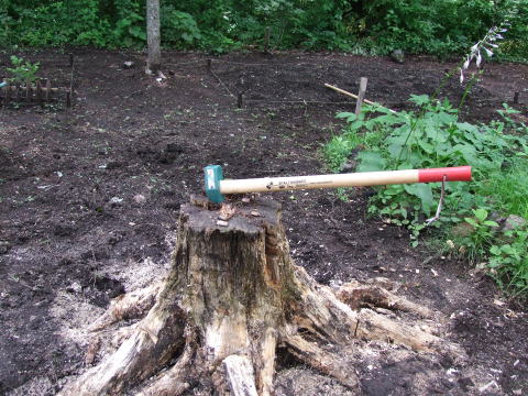 e0088260_037476.jpg