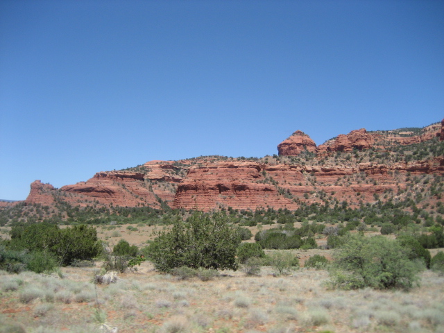 e0185661_6305356.jpg